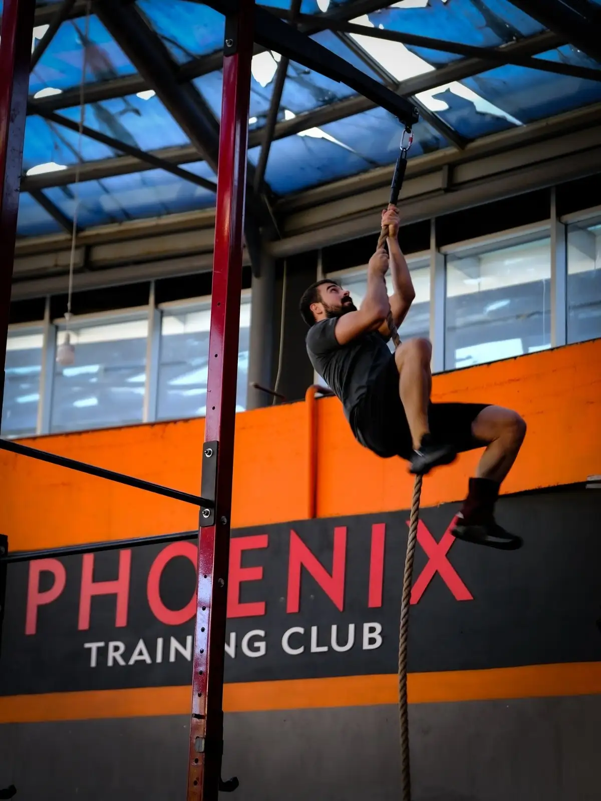 Antrenman – Phoenix Training Club