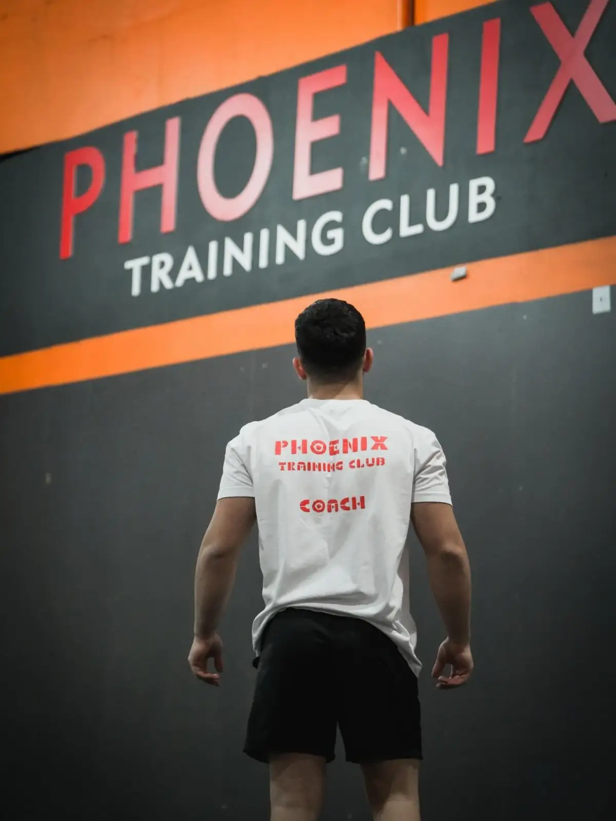 Antrenman – Phoenix Training Club