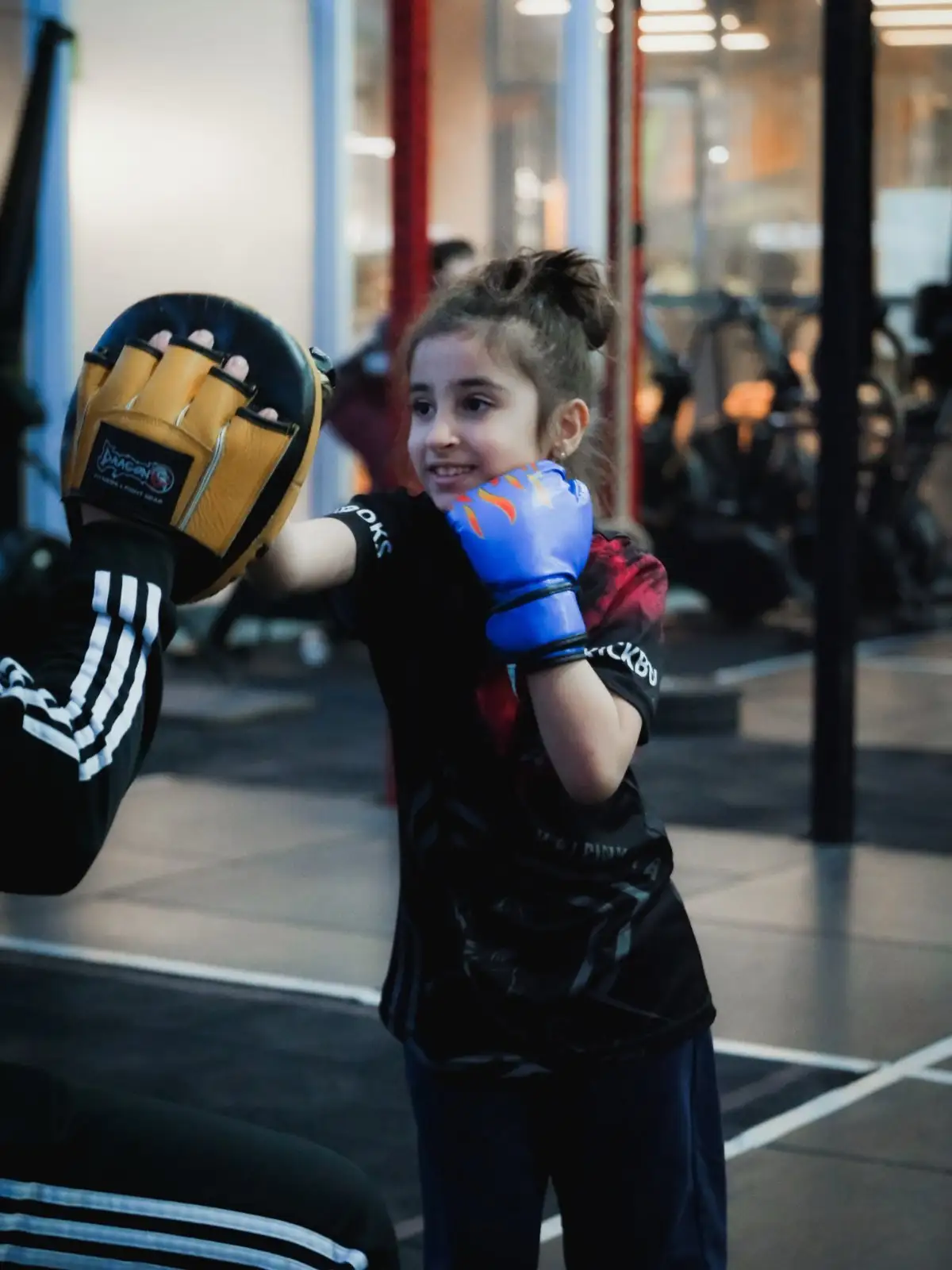 Boks – Phoenix Training Club