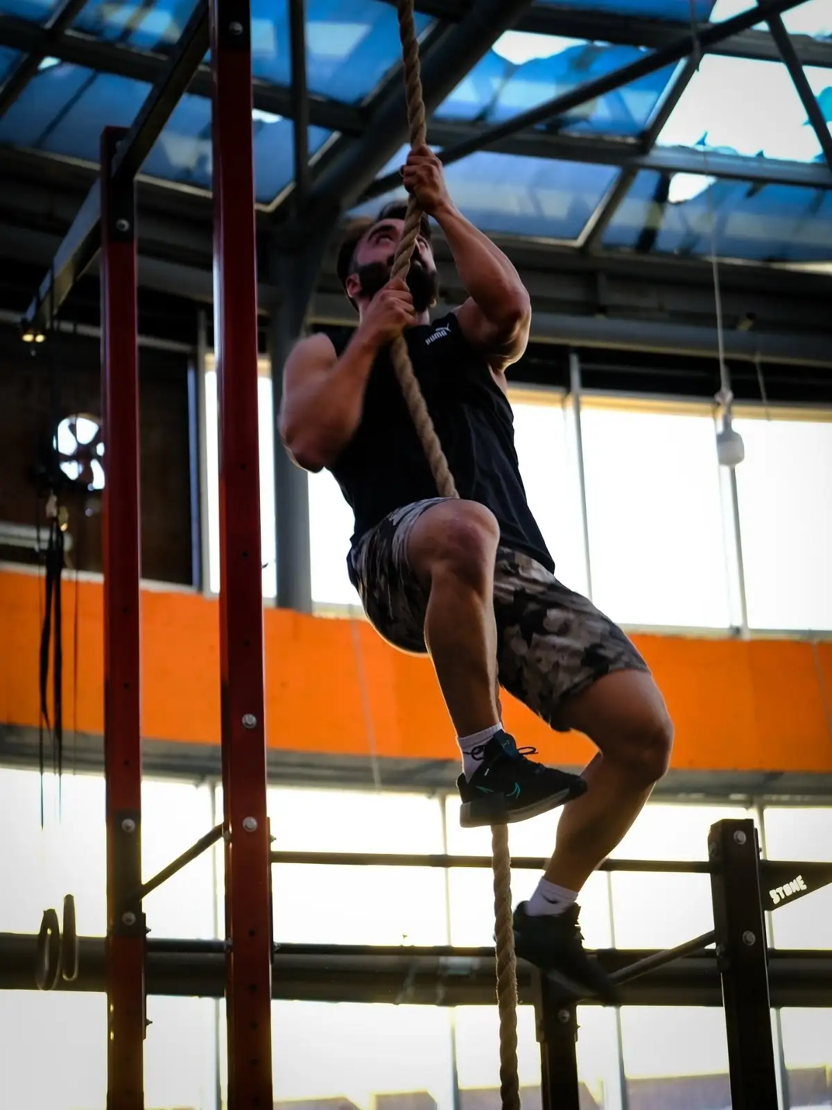 Antrenman – Phoenix Training Club
